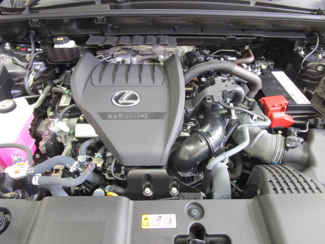 NX35020261007