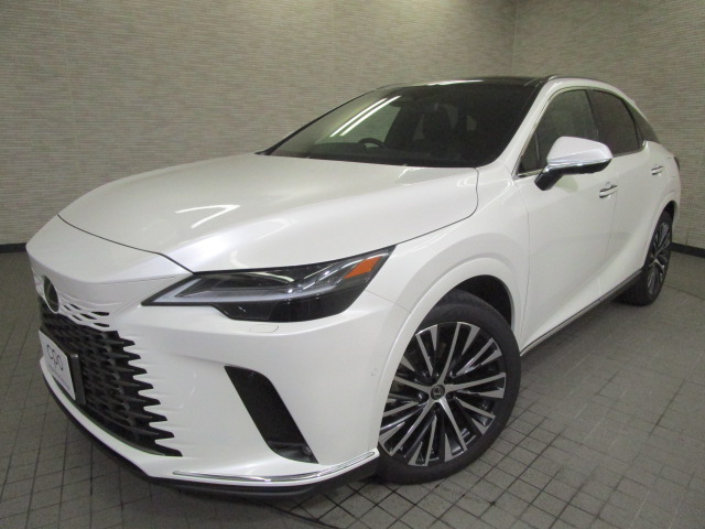 RX350h20261007