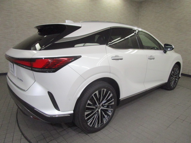 RX350h20261007