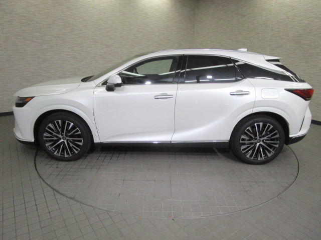 RX350h20261007