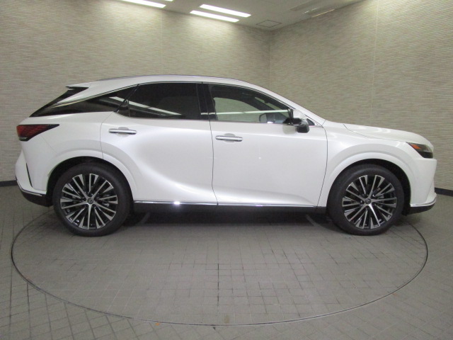 RX350h20261007
