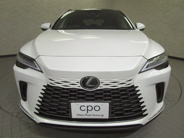 RX350h20261007