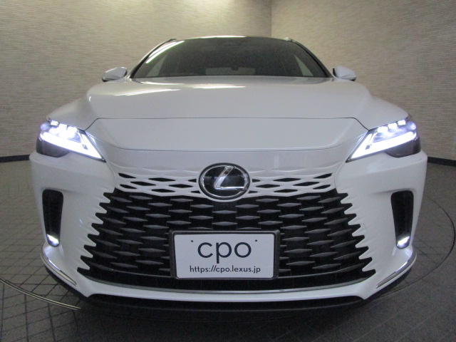 RX350h20261007