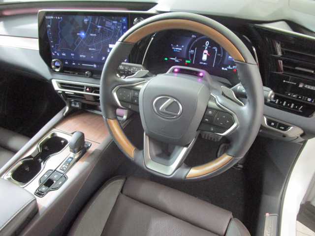 RX350h20261007