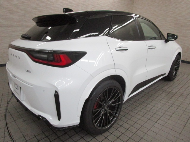 LBX20261009